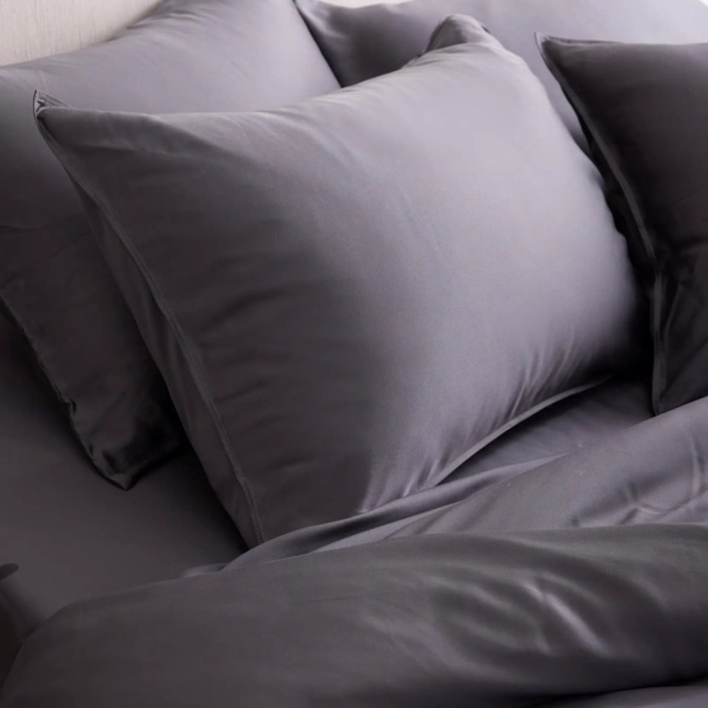 NWOT Quince Bamboo Queen Sham Set in Charcoal Grey